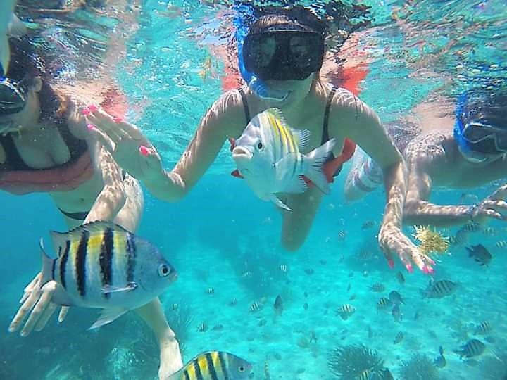 Coralito Malecon Luxury Studio Isla Mujeres Ngoại thất bức ảnh